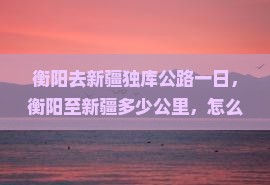 衡阳去新疆独库公路一日