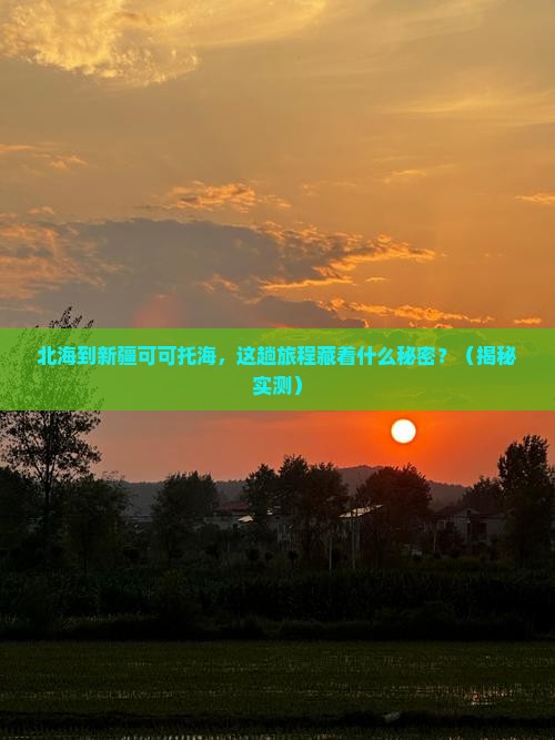 北海到新疆可可托海团体旅游