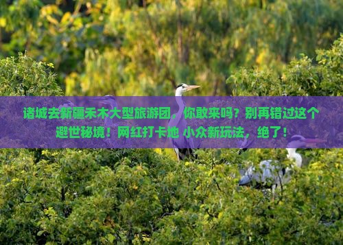 诸城去新疆禾木大型旅游团
