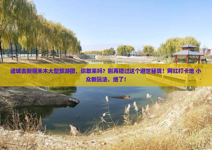 诸城去新疆禾木大型旅游团