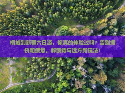 桐城到新疆六日游