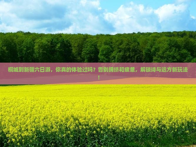桐城到新疆六日游