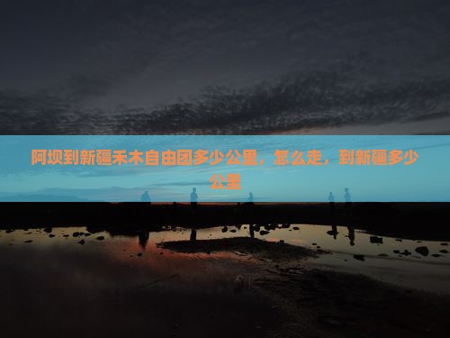 阿坝到新疆禾木自由团