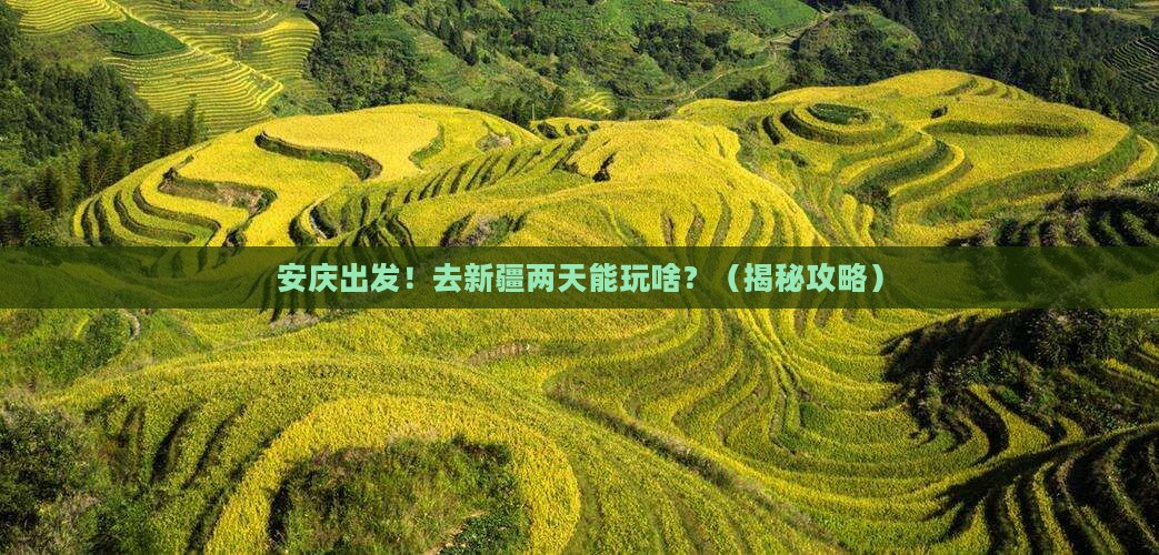 安庆到新疆二日游
