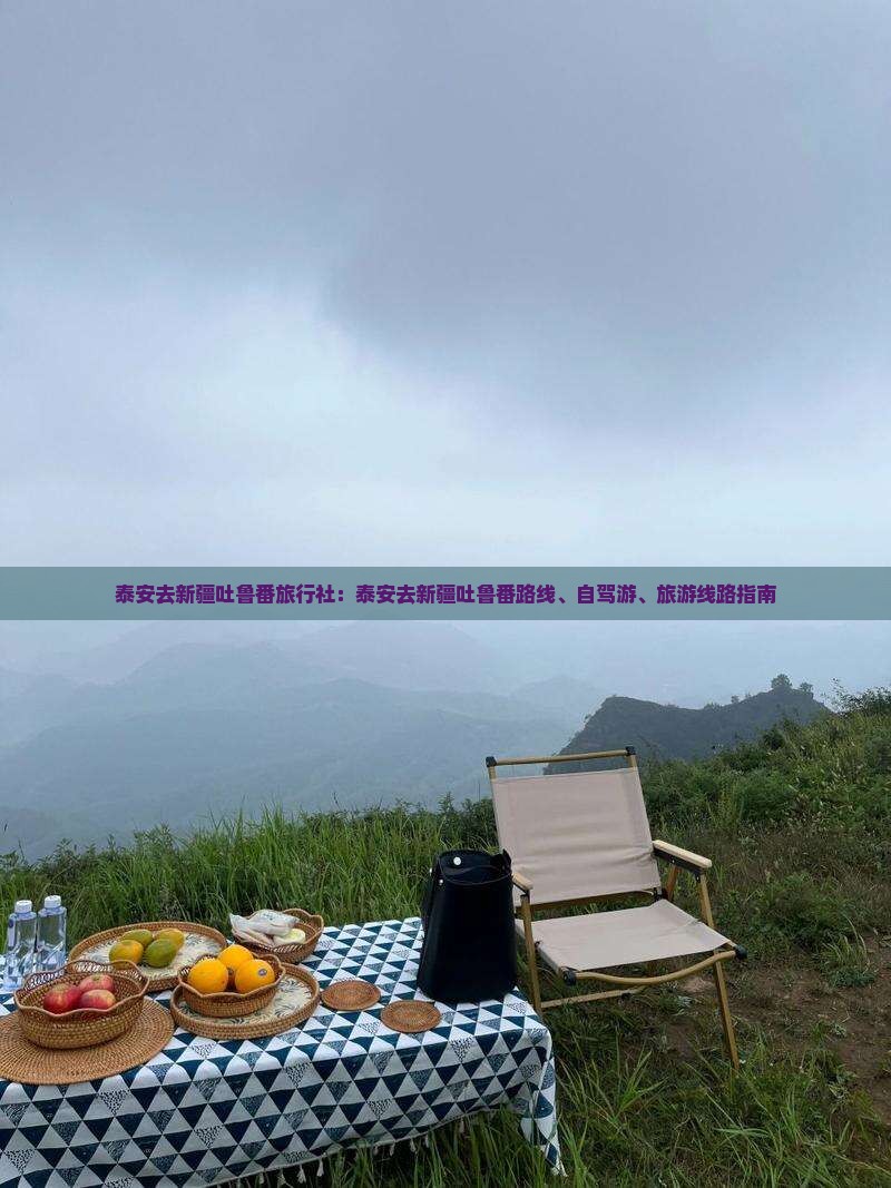 泰安去新疆吐鲁番旅行社