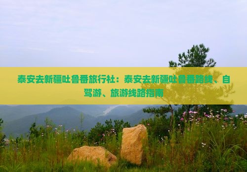 泰安去新疆吐鲁番旅行社