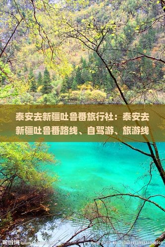 泰安去新疆吐鲁番旅行社