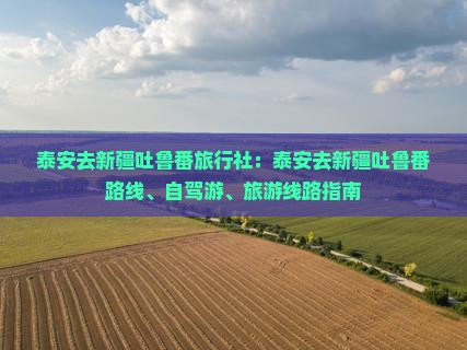 泰安去新疆吐鲁番旅行社