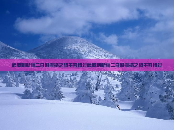 武威到新疆二日游