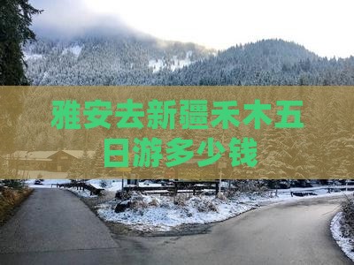 雅安去新疆禾木五日游