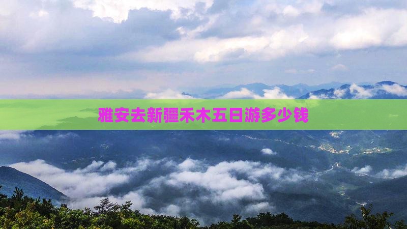 雅安去新疆禾木五日游