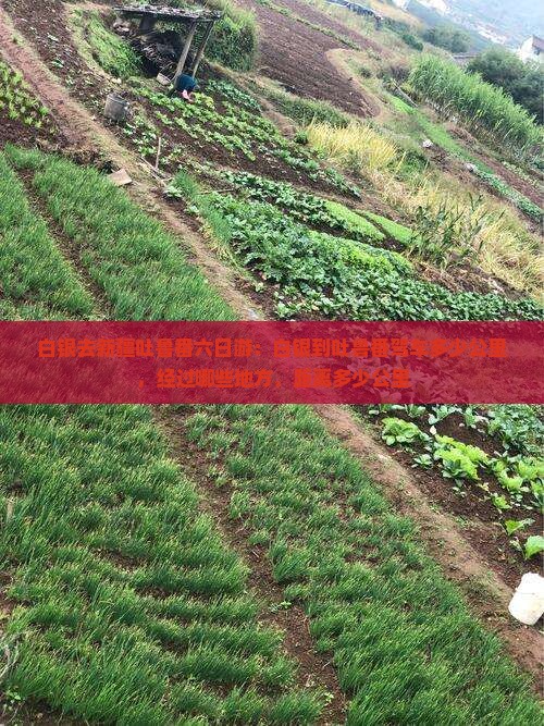 白银去新疆吐鲁番六日游