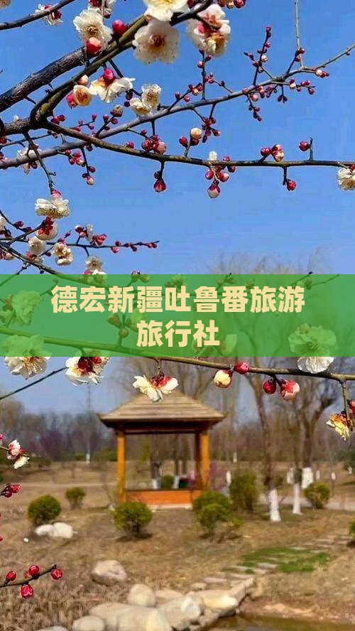 德宏去新疆吐鲁番旅行社