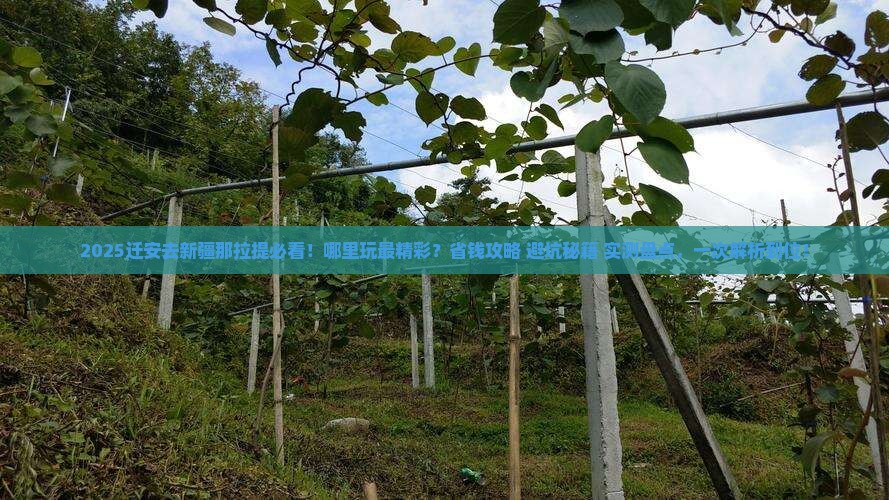 迁安去新疆那拉提哪里玩