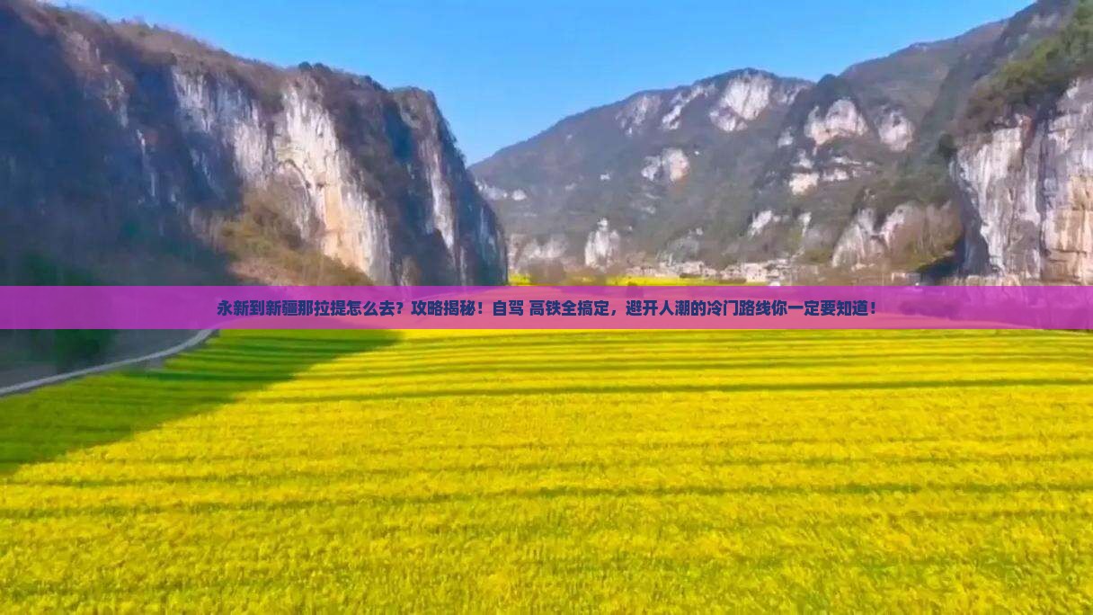 永新到新疆那拉提攻略