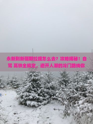 永新到新疆那拉提攻略