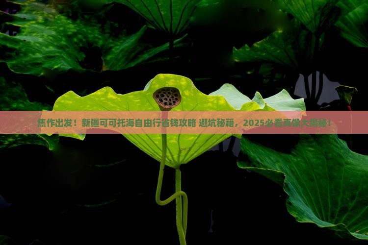 焦作到新疆可可托海自由行