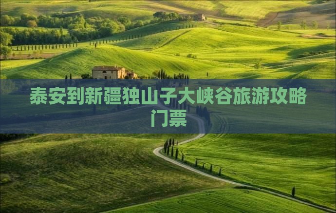 泰安到新疆独山子大峡谷门票