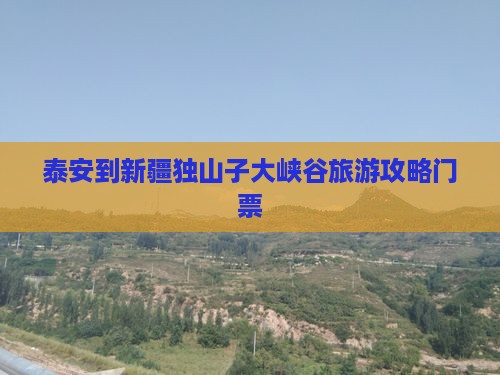 泰安到新疆独山子大峡谷门票