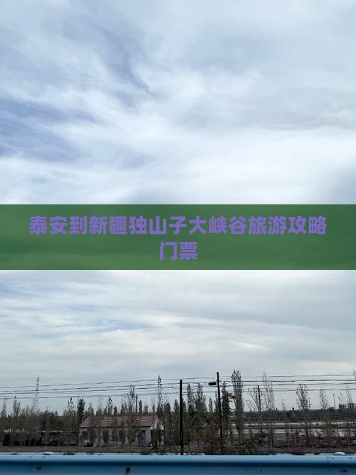 泰安到新疆独山子大峡谷门票