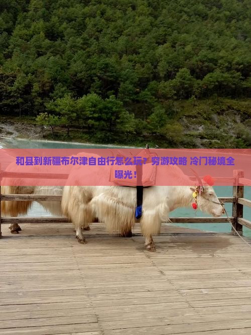 和县到新疆布尔津自由行