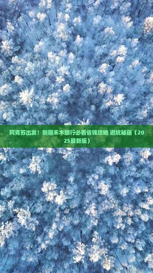 阿克苏去新疆禾木旅行社