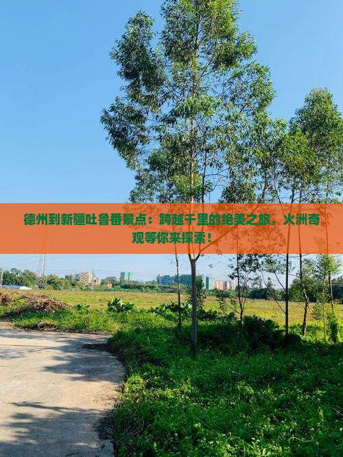 德州到新疆吐鲁番景点