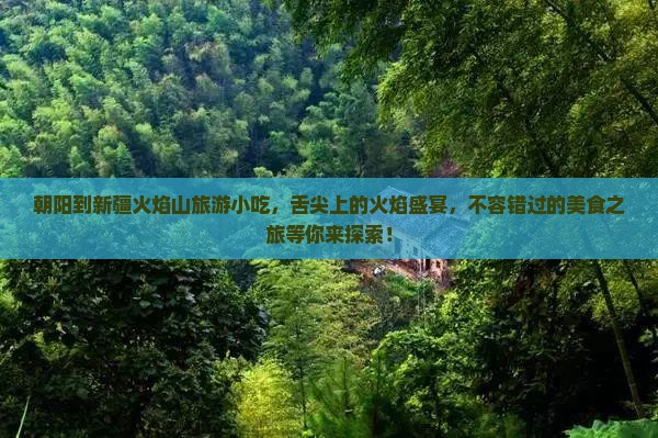 朝阳到新疆火焰山旅游小吃