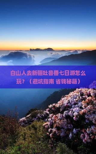 白山去新疆吐鲁番七日游