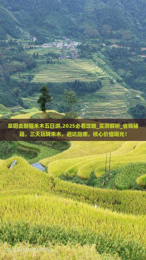 阜阳去新疆禾木五日游