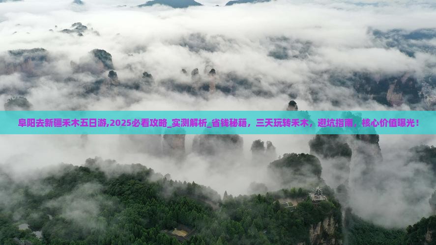 阜阳去新疆禾木五日游
