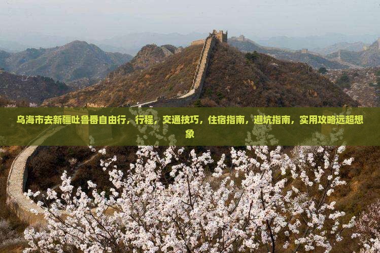 乌海市去新疆吐鲁番自由行