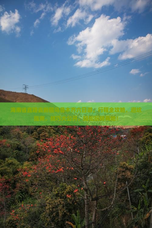 海南省直辖去新疆乌鲁木齐六日游
