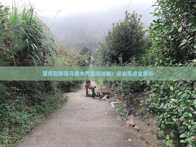 肇庆到新疆乌鲁木齐必去地