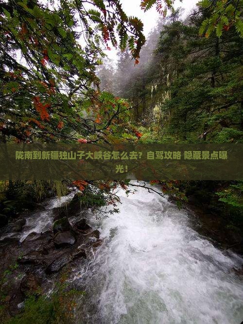 陇南到新疆独山子大峡谷景点