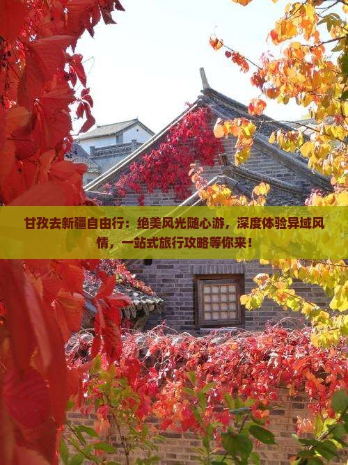 甘孜去新疆自由行