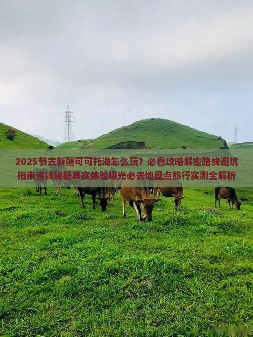 国庆节到新疆可可托海必去地