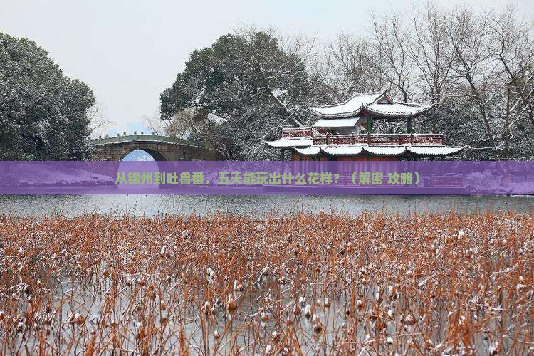 锦州到新疆吐鲁番五日游