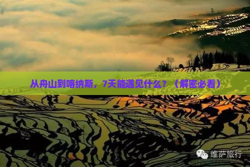 舟山去新疆喀纳斯七日游