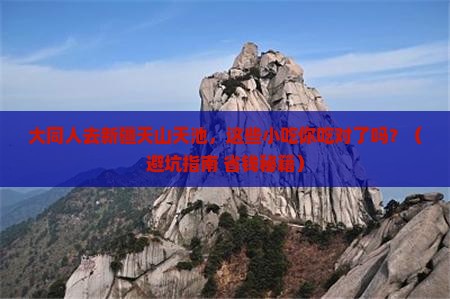 大同去新疆天山天池旅游小吃
