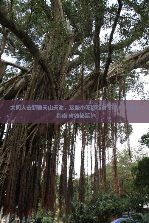 大同去新疆天山天池旅游小吃