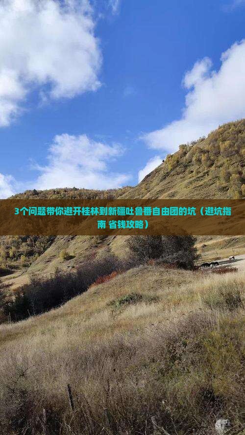 桂林到新疆吐鲁番自由团