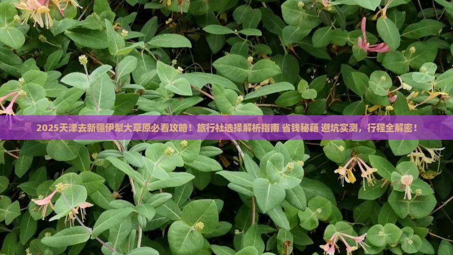 天津去新疆伊犁大草原旅行社
