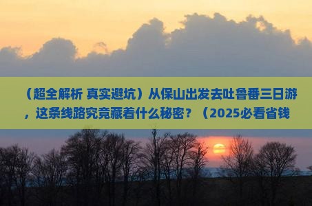 保山到新疆吐鲁番三日游