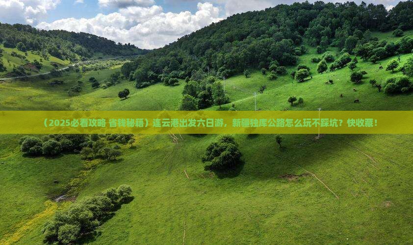连云港到新疆独库公路六日游