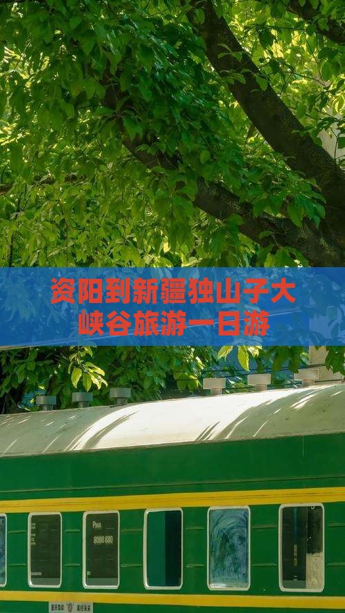 资阳到新疆独山子大峡谷一日