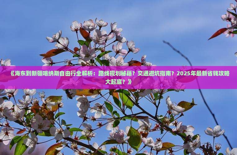 海东到新疆喀纳斯自由行