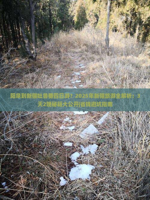 阳泉到新疆吐鲁番四日游