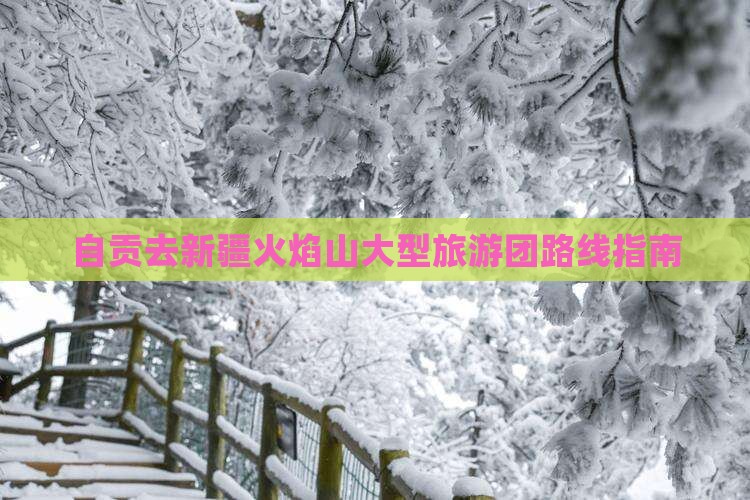 自贡去新疆火焰山大型旅游团