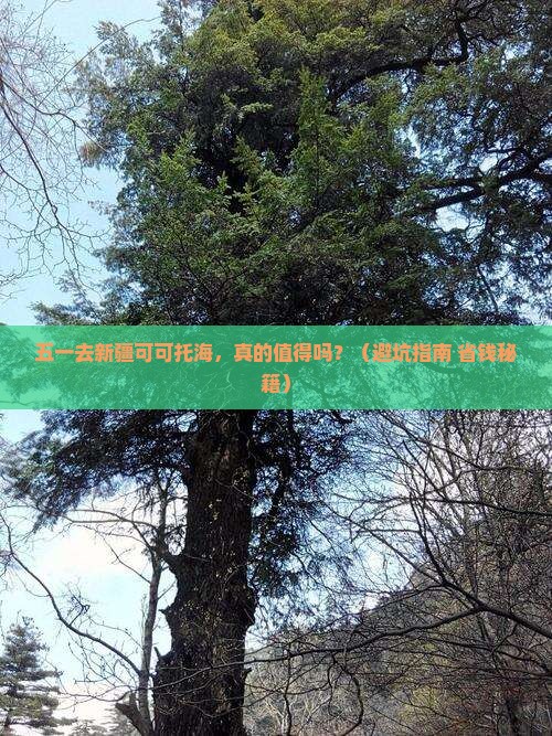 劳动节到新疆可可托海自由行